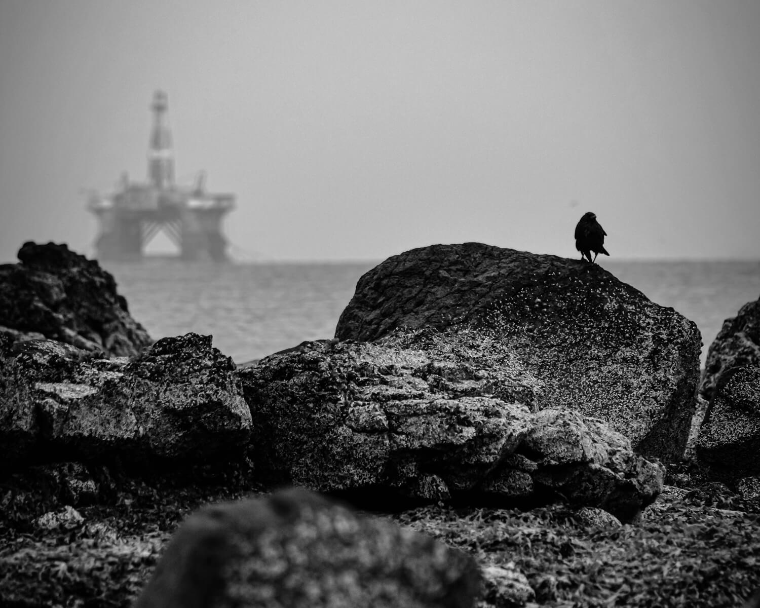 Oil rig with bird